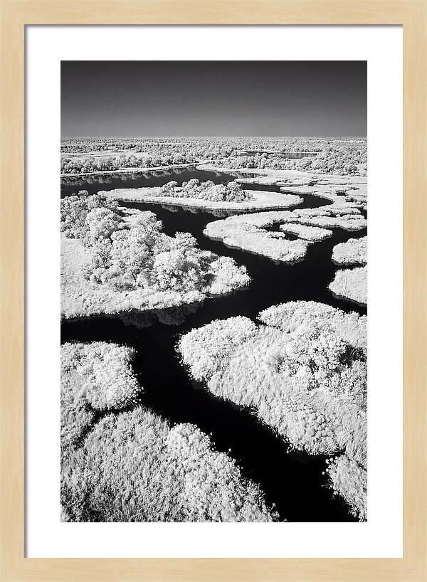 Tranquil Waters Of Okavango