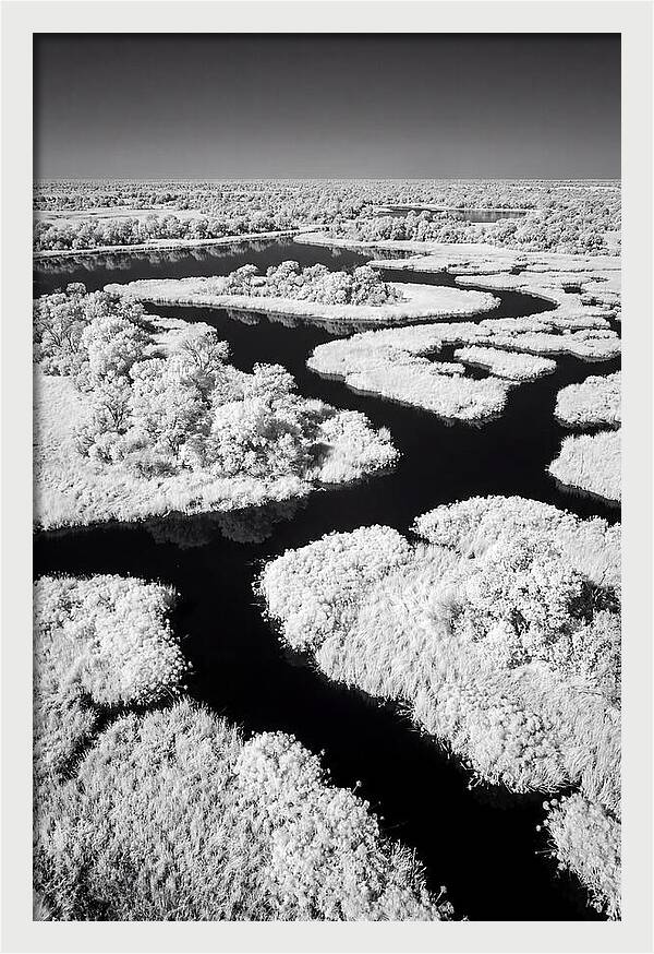 Tranquil Waters Of Okavango