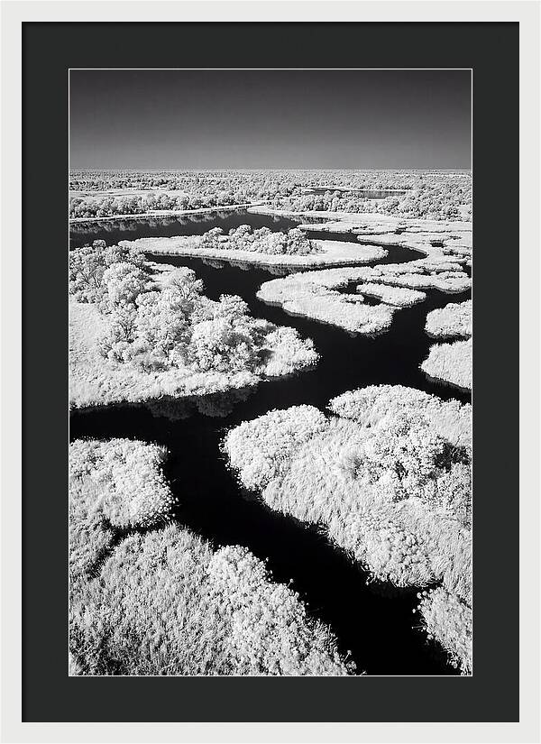 Tranquil Waters Of Okavango