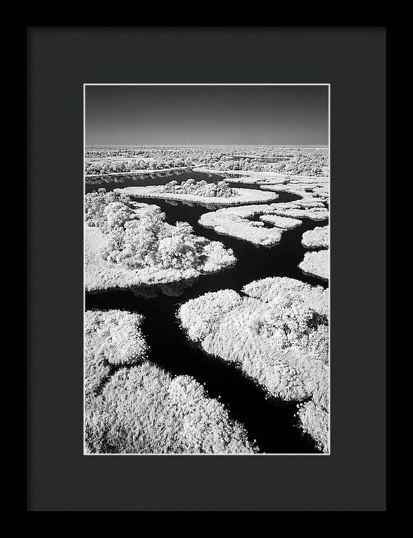 Tranquil Waters Of Okavango