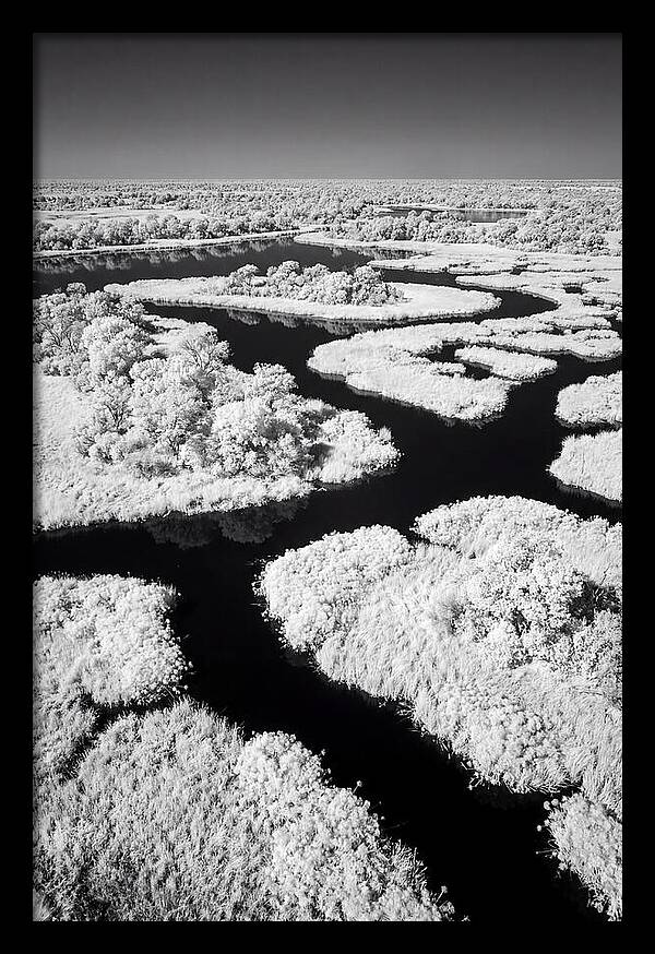 Tranquil Waters Of Okavango