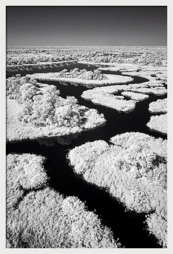 Tranquil Waters Of Okavango