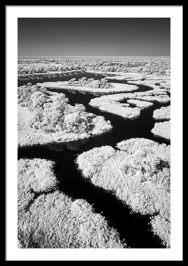 Tranquil Waters Of Okavango