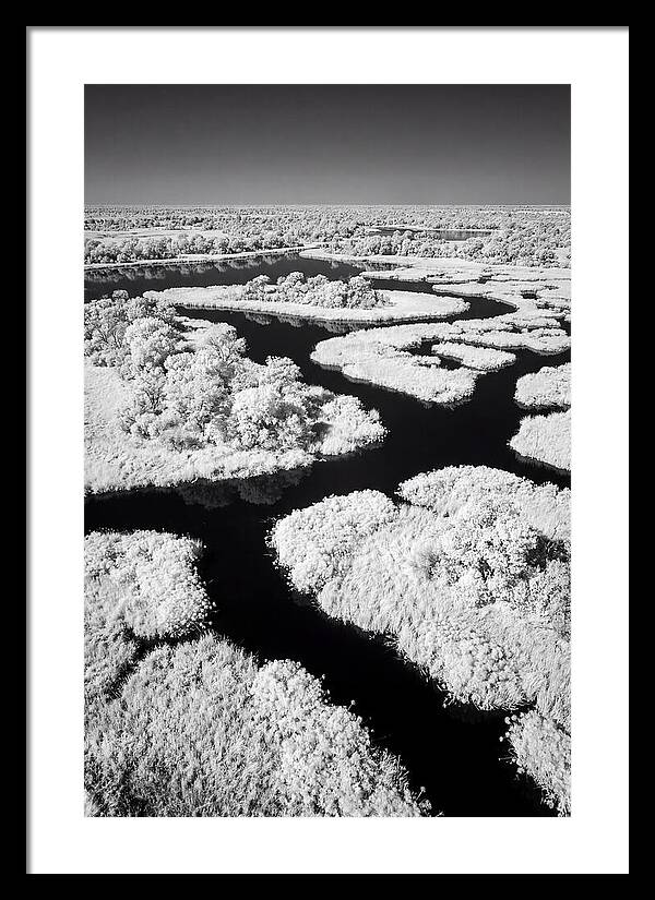 Tranquil Waters Of Okavango