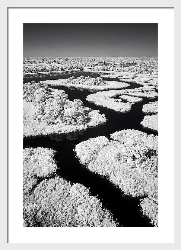 Tranquil Waters Of Okavango