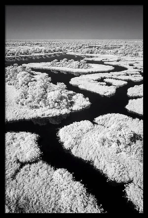 Tranquil Waters Of Okavango