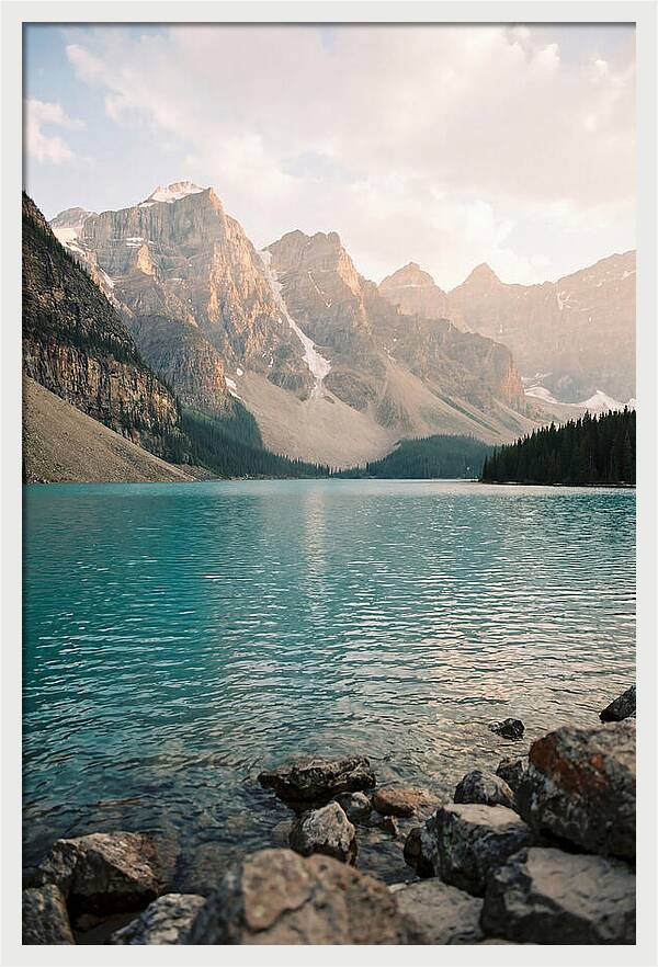 Tranquil Waters Of Peyto Lake