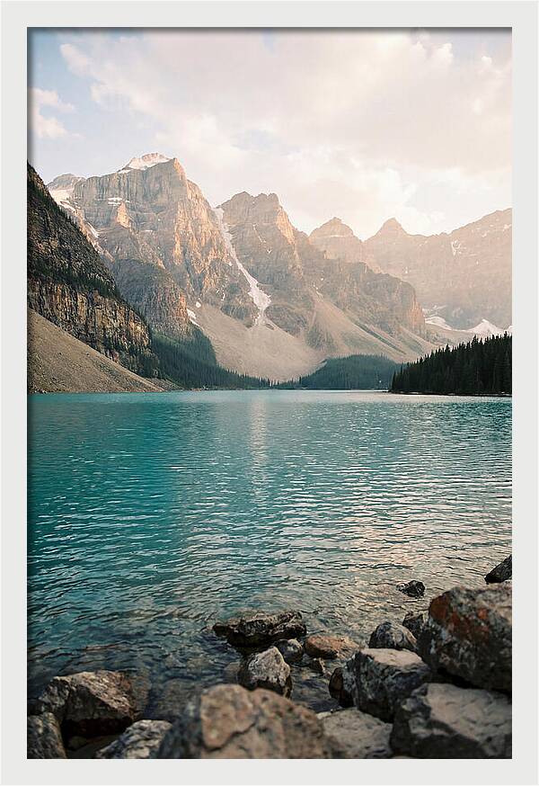 Tranquil Waters Of Peyto Lake