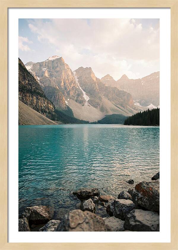Tranquil Waters Of Peyto Lake