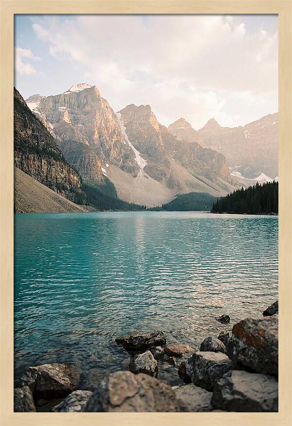Tranquil Waters Of Peyto Lake
