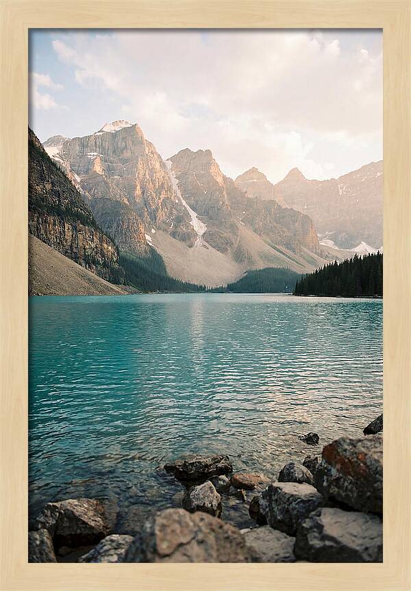 Tranquil Waters Of Peyto Lake