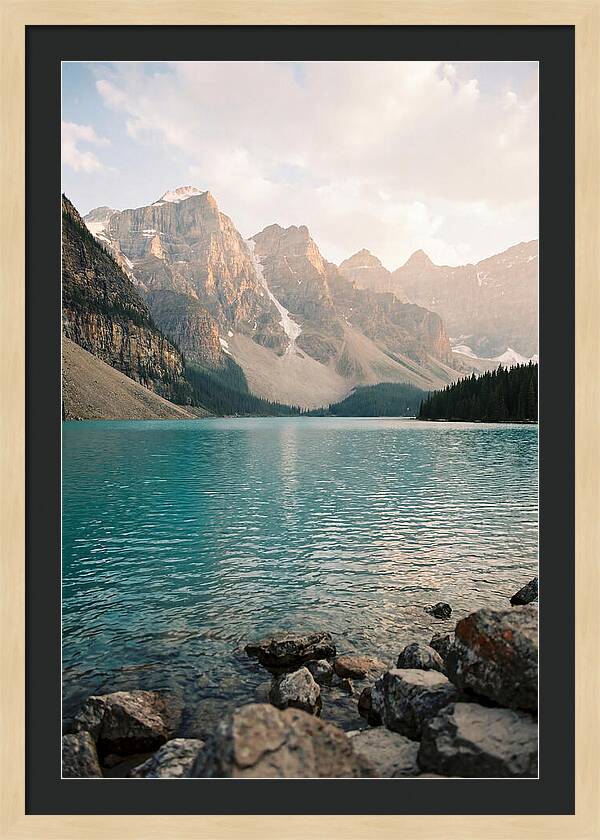 Tranquil Waters Of Peyto Lake