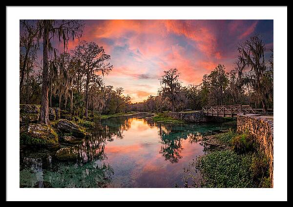 Tranquil Waters Of Radium Springs