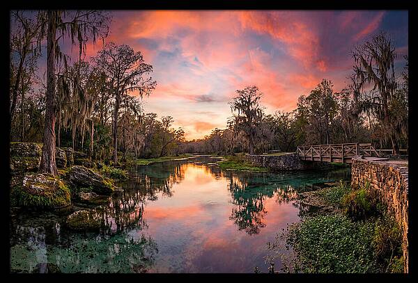 Tranquil Waters Of Radium Springs