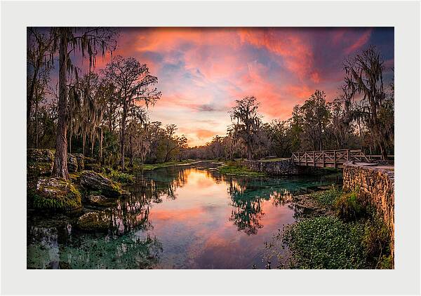 Tranquil Waters Of Radium Springs