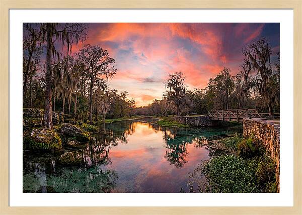 Tranquil Waters Of Radium Springs