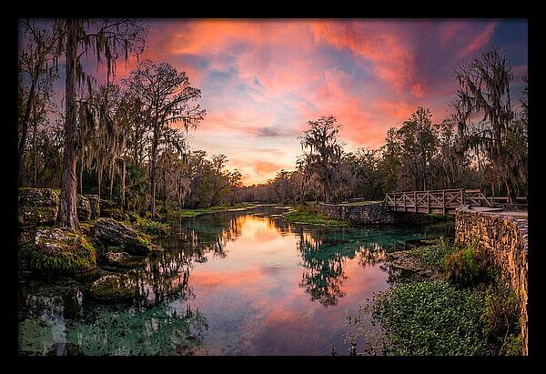 Tranquil Waters Of Radium Springs