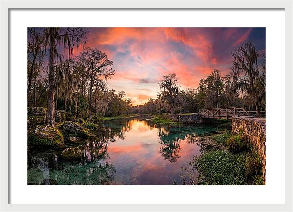 Tranquil Waters Of Radium Springs