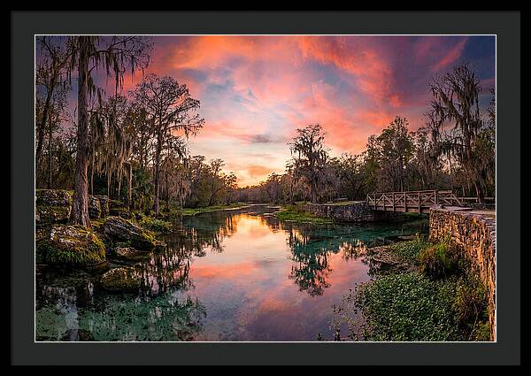 Tranquil Waters Of Radium Springs