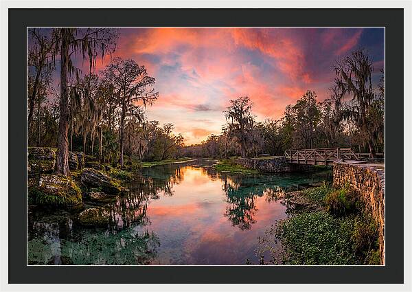 Tranquil Waters Of Radium Springs