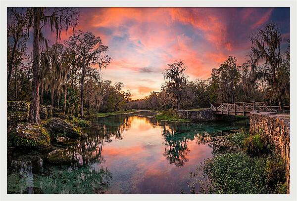 Tranquil Waters Of Radium Springs