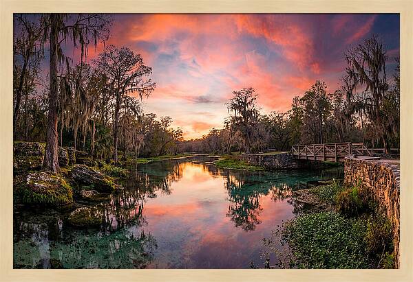 Tranquil Waters Of Radium Springs