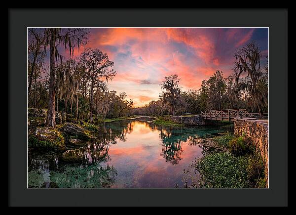 Tranquil Waters Of Radium Springs