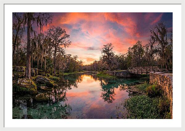 Tranquil Waters Of Radium Springs