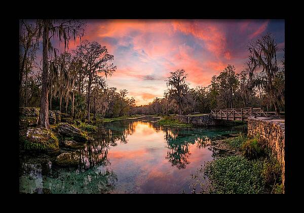 Tranquil Waters Of Radium Springs