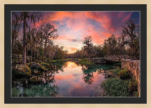 Tranquil Waters Of Radium Springs