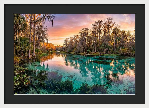 Tranquil Waters Of Rainbow Springs
