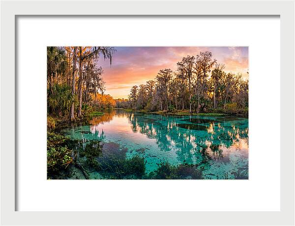 Tranquil Waters Of Rainbow Springs
