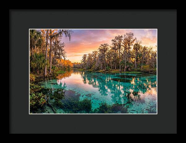 Tranquil Waters Of Rainbow Springs