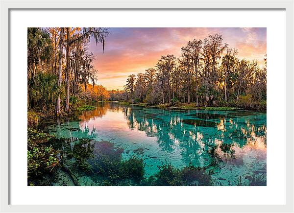 Tranquil Waters Of Rainbow Springs