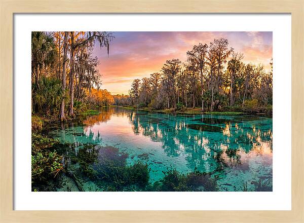 Tranquil Waters Of Rainbow Springs