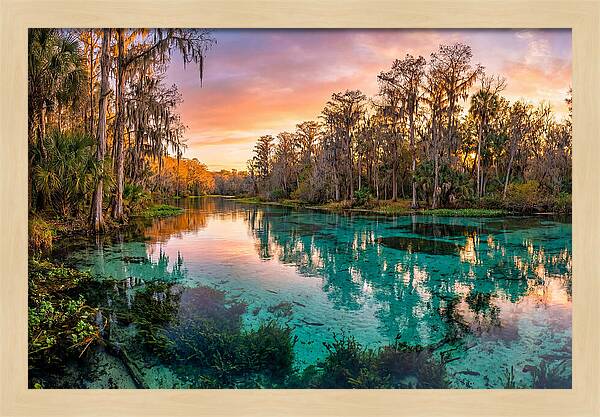 Tranquil Waters Of Rainbow Springs