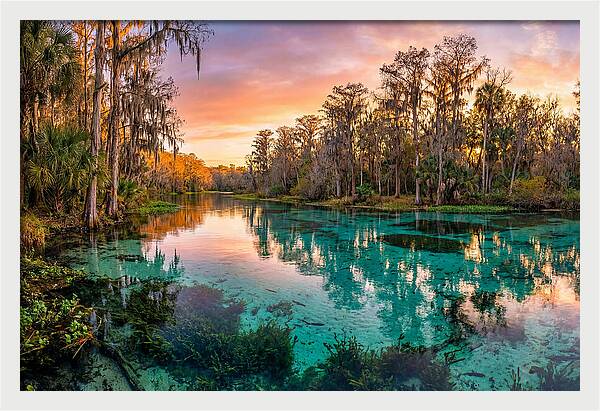 Tranquil Waters Of Rainbow Springs