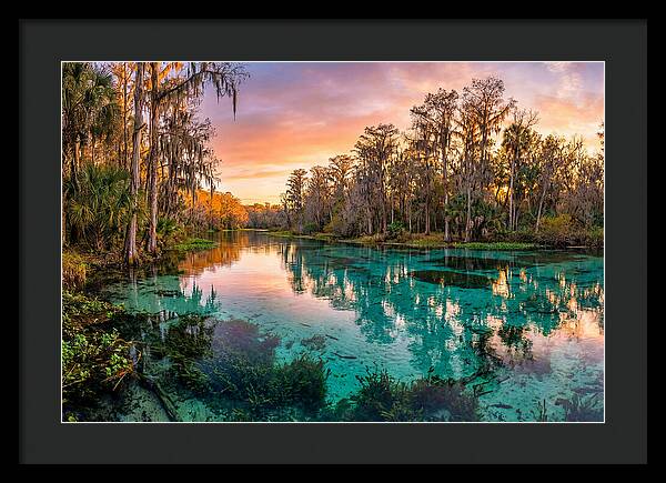 Tranquil Waters Of Rainbow Springs