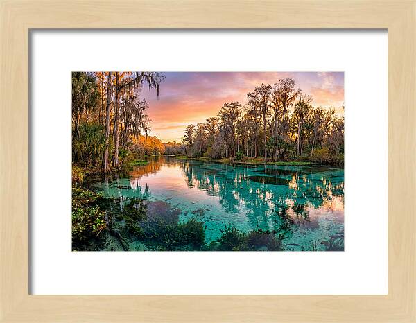 Tranquil Waters Of Rainbow Springs