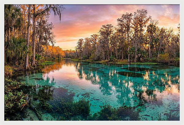Tranquil Waters Of Rainbow Springs