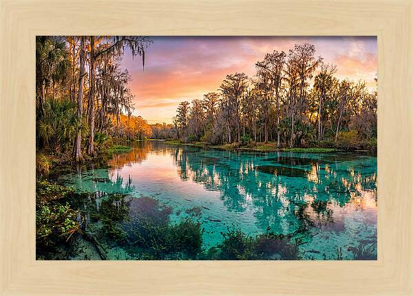 Tranquil Waters Of Rainbow Springs