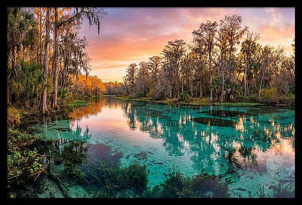 Tranquil Waters Of Rainbow Springs