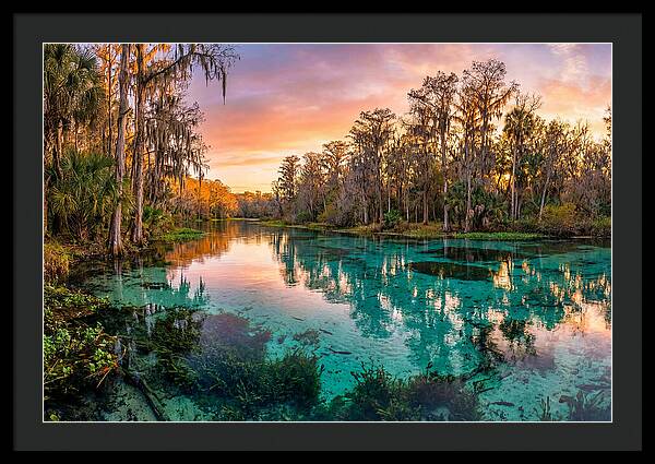 Tranquil Waters Of Rainbow Springs