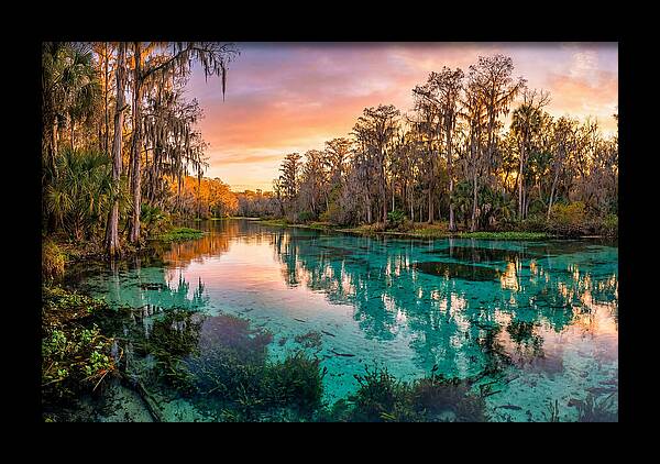 Tranquil Waters Of Rainbow Springs