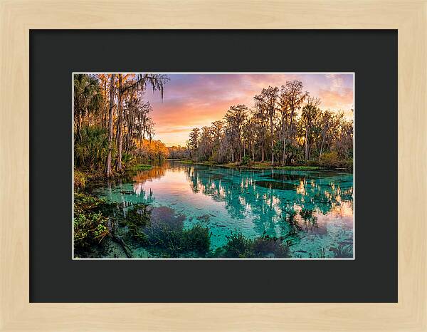 Tranquil Waters Of Rainbow Springs