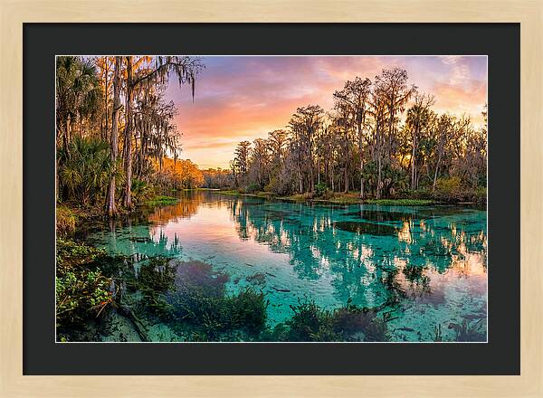 Tranquil Waters Of Rainbow Springs