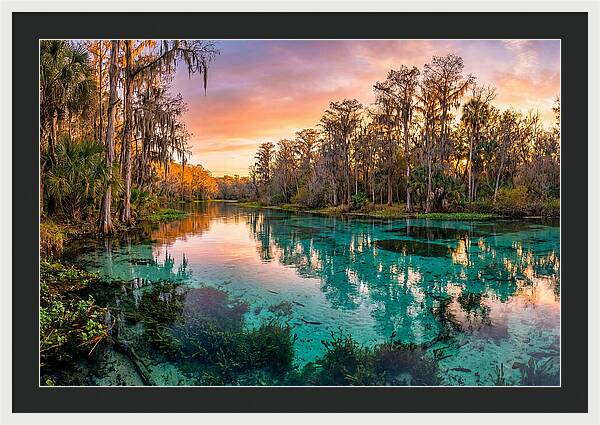Tranquil Waters Of Rainbow Springs