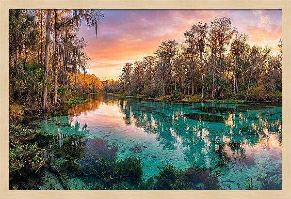 Tranquil Waters Of Rainbow Springs