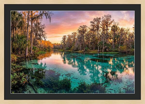 Tranquil Waters Of Rainbow Springs