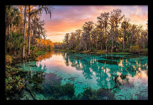 Tranquil Waters Of Rainbow Springs